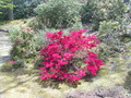Image file: photo05.jpg