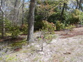 Image file: photo09.jpg