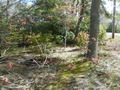 Image file: photo10.jpg