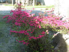 Image file: photo02.jpg
