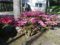 Image file: photo01.jpg
