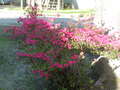 Image file: photo02.jpg