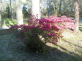 Image file: photo04.jpg