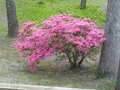 Image file: photo03.jpg