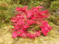 Image file: photo05.jpg