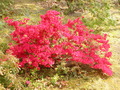 Image file: photo06.jpg