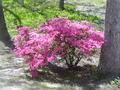 Image file: photo04.jpg