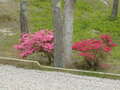 Image file: photo01.jpg
