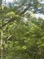 Image file: photo06.jpg