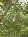 Image file: photo07.jpg