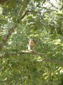 Image file: photo08.jpg