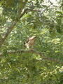 Image file: photo09.jpg