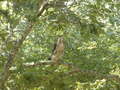 Image file: photo14.jpg