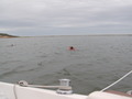 Image file: _3/photo42.jpg