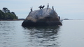 Image file: _1/photo01.jpg