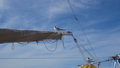 Image file: _1/photo02.jpg