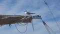 Image file: _1/photo03.jpg
