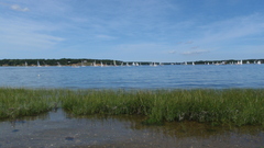 Image file: photo26.jpg