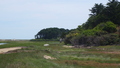 Image file: _2/photo33.jpg