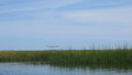 Image file: _3/photo44.jpg