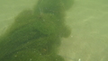 Image file: _3/photo46.jpg