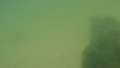 Image file: _3/photo47.jpg