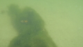 Image file: _3/photo48.jpg
