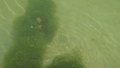 Image file: _3/photo49.jpg