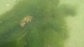 Image file: _3/photo50.jpg