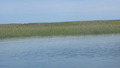 Image file: _3/photo51.jpg