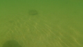 Image file: _3/photo54.jpg