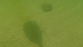 Image file: _3/photo55.jpg