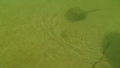 Image file: _3/photo56.jpg