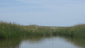 Image file: _4/photo58.jpg