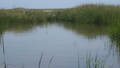 Image file: _4/photo59.jpg