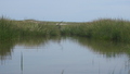 Image file: _4/photo60.jpg
