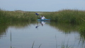 Image file: _4/photo61.jpg