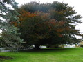 Image file: _1/photo03.jpg