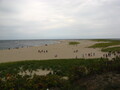 Image file: _1/photo07.jpg