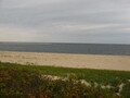 Image file: _1/photo09.jpg