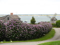 Image file: _1/photo12.jpg