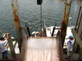 Image file: _1/photo15.jpg