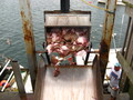 Image file: _1/photo17.jpg