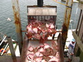 Image file: _1/photo18.jpg