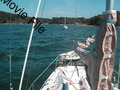 Image file: movie04.mov