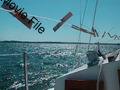 Image file: movie05.mov
