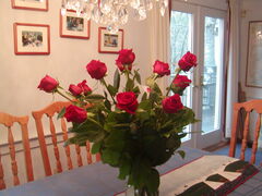 Image file: photo02.jpg