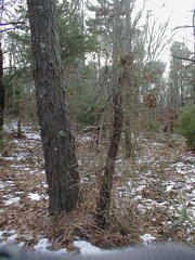 Image file: photo17.jpg