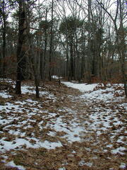 Image file: photo21.jpg