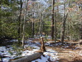 Image file: photo07.jpg